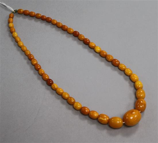 A single strand graduated amber bead necklace, gross weight 34 grams, 56cm.